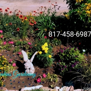 Fort Worth Mrs Jenkins Gardening