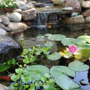 Photo of Windy Acre Water
