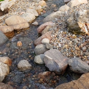Photo of Windy Acre Water