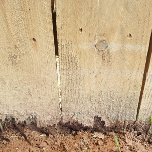 Photo of Premier Fence