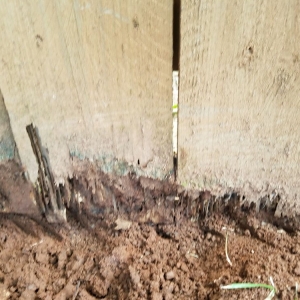 Photo of Premier Fence
