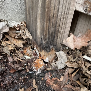 Photo of Premier Fence