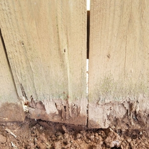 Photo of Premier Fence