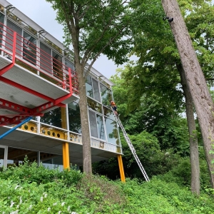 Photo of Veco Window Washing and Gutter Cleaning
