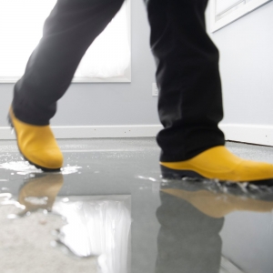 Photo of 1-800 Water Damage