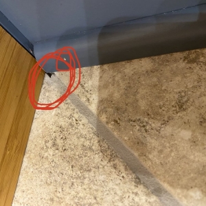 Photo of Summit Cleaning & Restoration