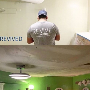 Photo of Revive Pro