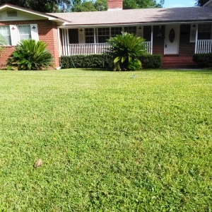 Jacksonville Clarity Pools and Lawns