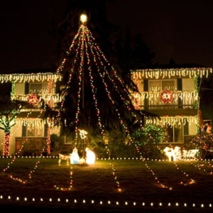 Photo of D-Tek Christmas Creations