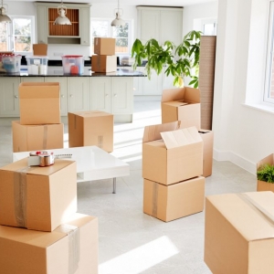 Photo of Carolina Moving Solutions