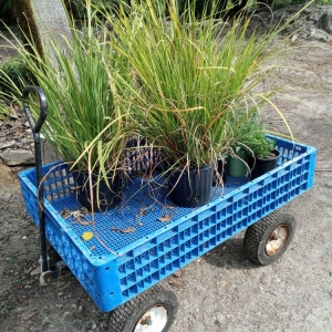 Jacksonville Hickory Creek Nursery & Landscaping