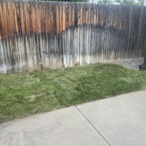Denver Nava Services