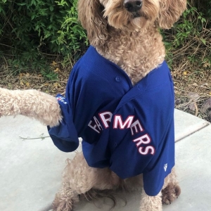 Photo of Farmers Insurance - Cameron Kuniej
