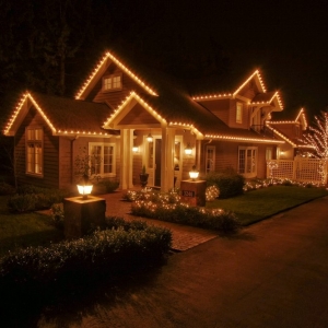 Photo of Electric Elves