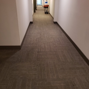 San Diego California Carpetpros