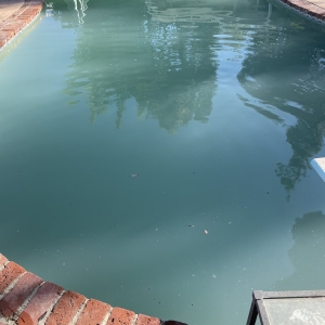 Photo of Gary's pool and Spa Cleaning Service