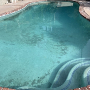 Photo of Gary's pool and Spa Cleaning Service