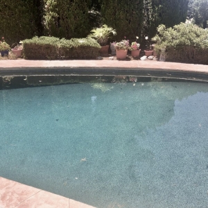 Photo of Gary's pool and Spa Cleaning Service