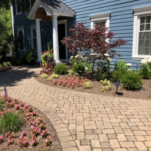 Photo of Green City Gardens
