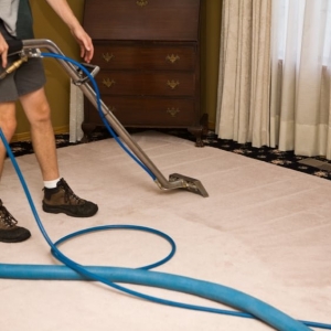 Seattle Naked Carpets