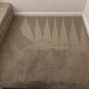Photo of Naked Carpets