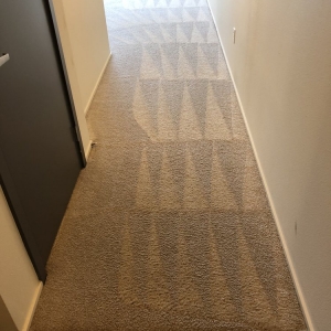 Photo of Naked Carpets