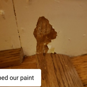 Photo of Anderson Flooring
