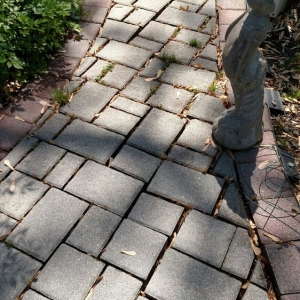 Photo of Briggs Floor Care