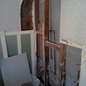 Photo of House Mold Inspectors