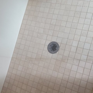 Photo of Dream Steam Carpet Clean