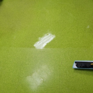 Photo of Dream Steam Carpet Clean