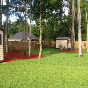 Photo of Daniel's Lawn Care