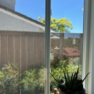 Photo of Ortega Window Cleaning