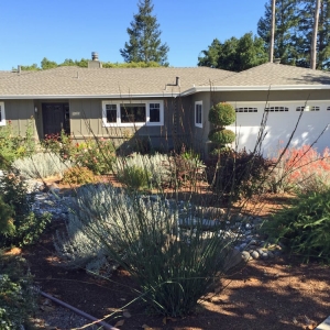Photo of Patty Walters Landscape Design