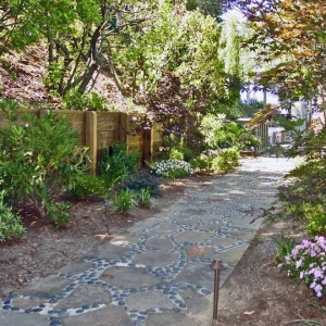 Photo of Patty Walters Landscape Design