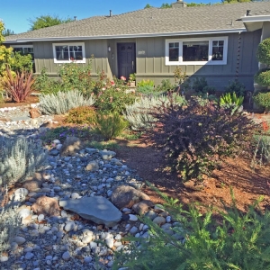 Photo of Patty Walters Landscape Design