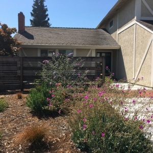 Photo of Patty Walters Landscape Design