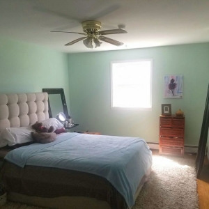 Photo of Darryl's Basement Cleaners