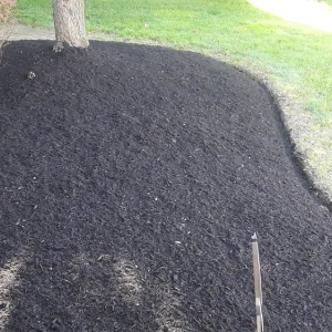 Photo of Affordable Lawn Care & Landscaping
