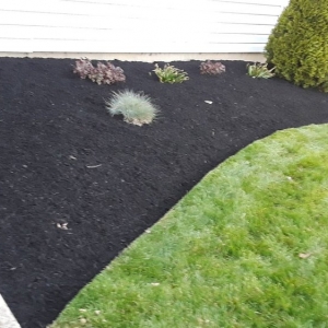Photo of Affordable Lawn Care & Landscaping