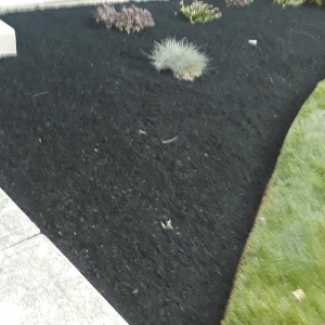 Photo of Affordable Lawn Care & Landscaping