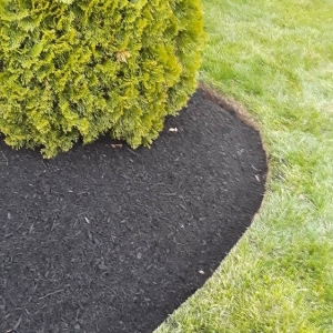 Photo of Affordable Lawn Care & Landscaping