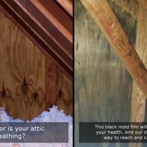 Photo of Pure Maintenance Mold Remediation - Daytona Beach