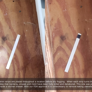 Photo of Pure Maintenance Mold Remediation - Daytona Beach