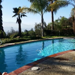 Photo of Da Pool Guy Pool Service