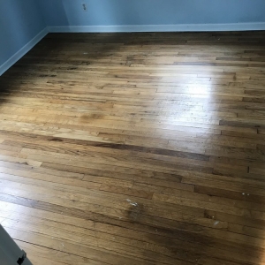 Photo of NW Professional Hardwood