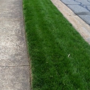 Photo of Atlantic Turf Landscaping