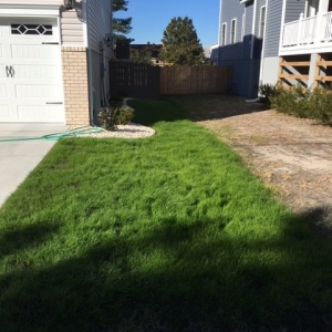 Photo of Atlantic Turf Landscaping