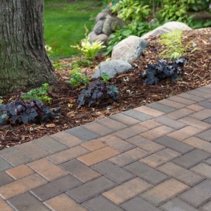 Photo of Barrett Lawn Care