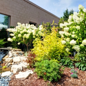 Photo of Barrett Lawn Care